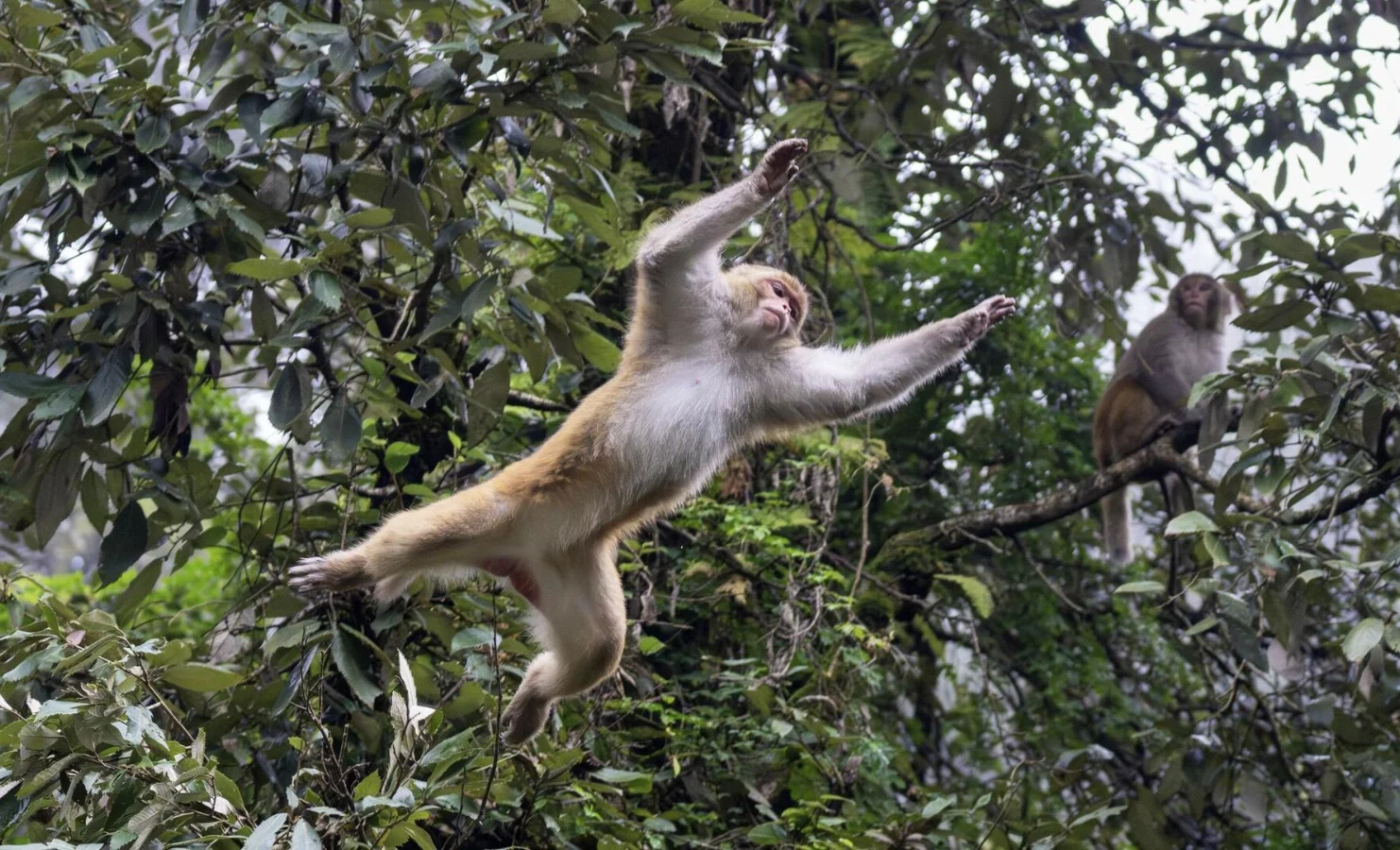 WhatsApp Image 2025-10-29 at 11.41.53.jpeg