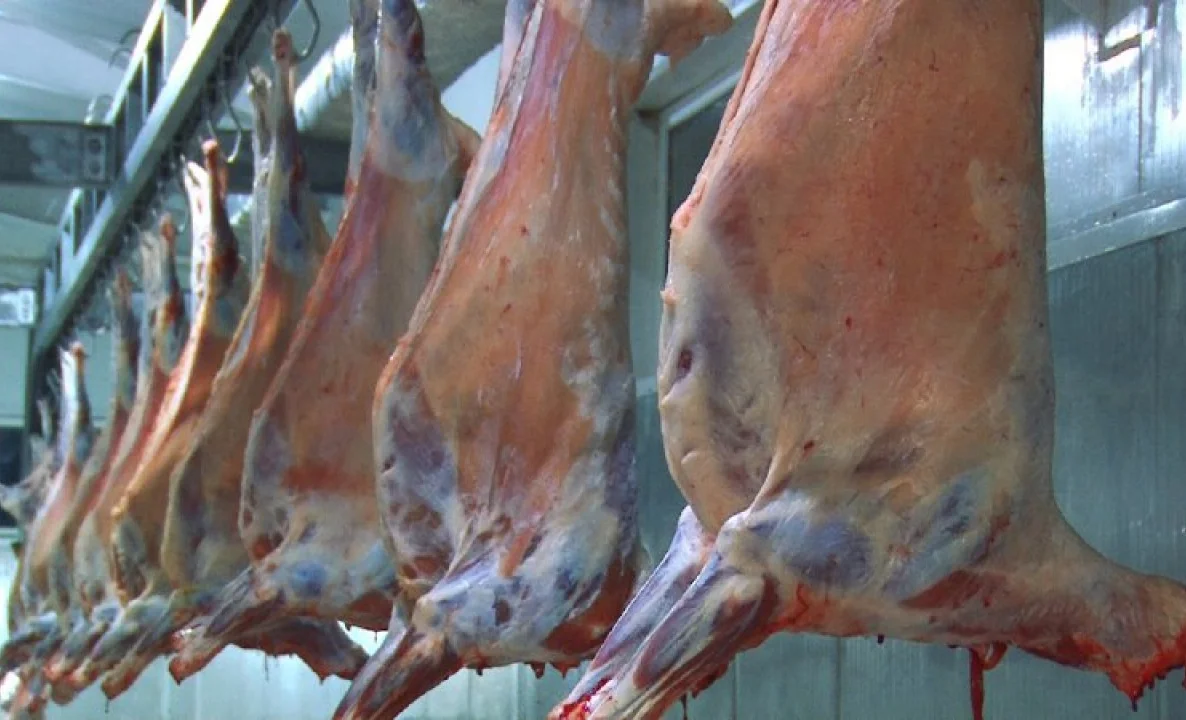 WhatsApp Image 2025-04-16 at 14.57.15.jpeg