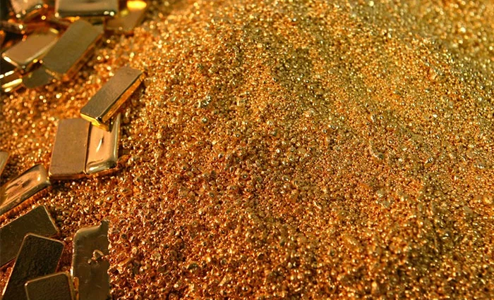 WhatsApp Image 2025-08-12 at 11.11.55.jpeg