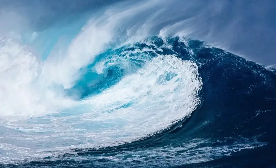 WhatsApp Image 2025-07-30 at 10.45.51.jpeg