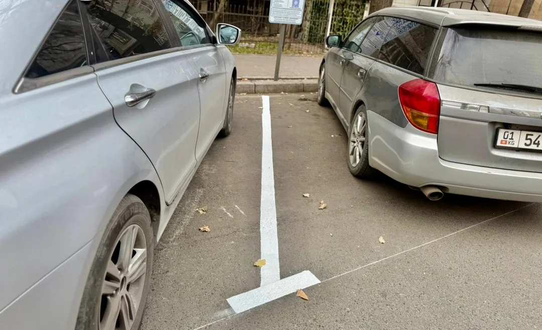 WhatsApp Image 2025-11-12 at 15.27.26.jpeg