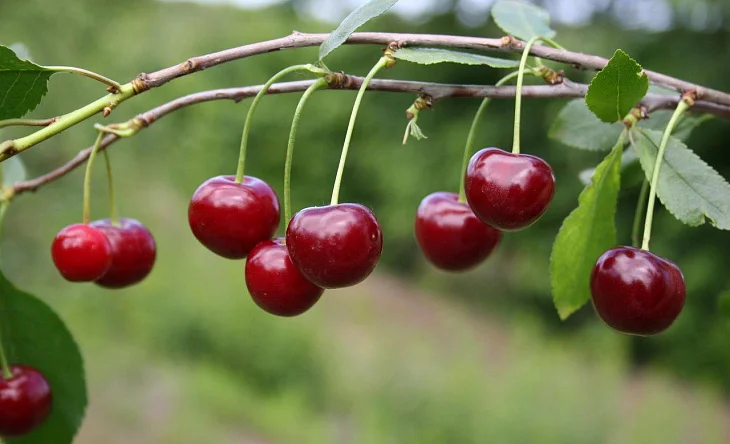 WhatsApp Image 2025-03-10 at 10.56.22.jpeg