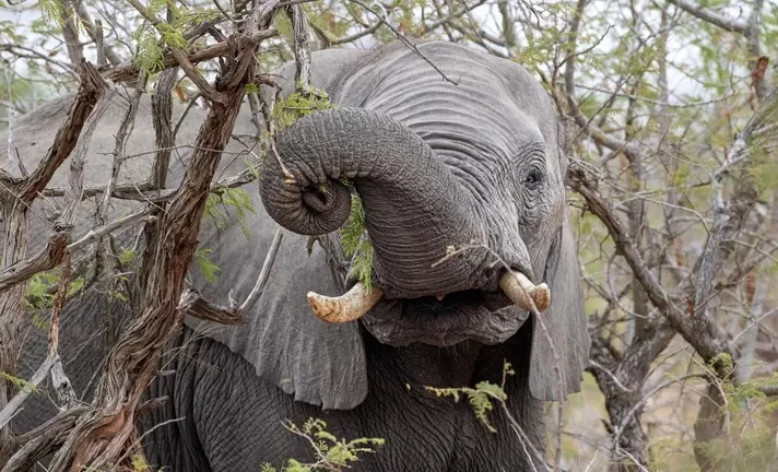 WhatsApp Image 2025-07-04 at 13.08.29.jpeg