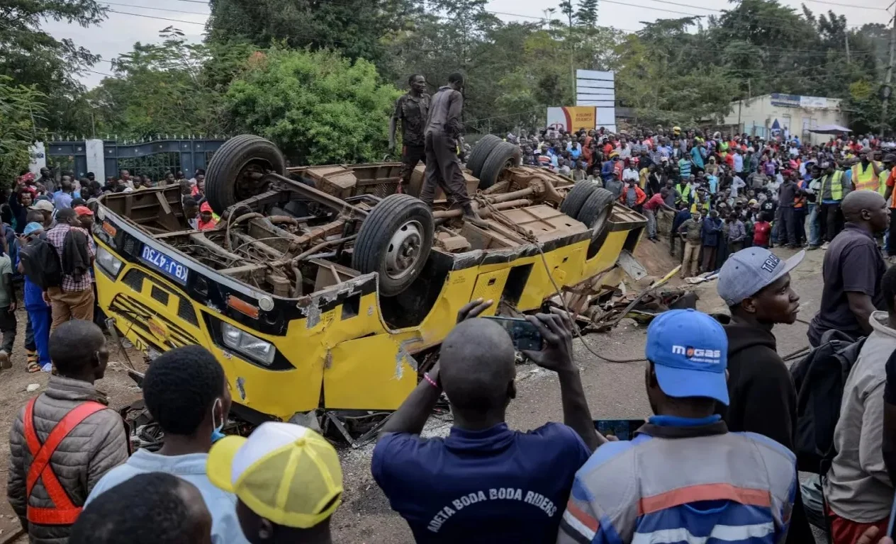 WhatsApp Image 2025-08-12 at 18.17.53.jpeg