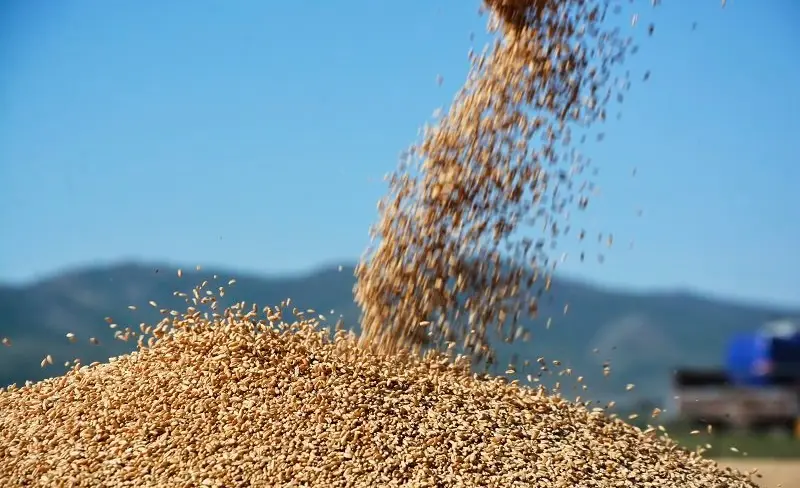 WhatsApp Image 2025-02-18 at 08.24.17.jpeg