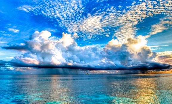 WhatsApp Image 2025-07-29 at 16.25.55.jpeg