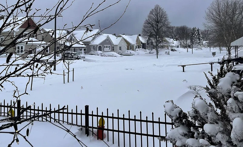 WhatsApp Image 2025-12-01 at 08.32.26.jpeg