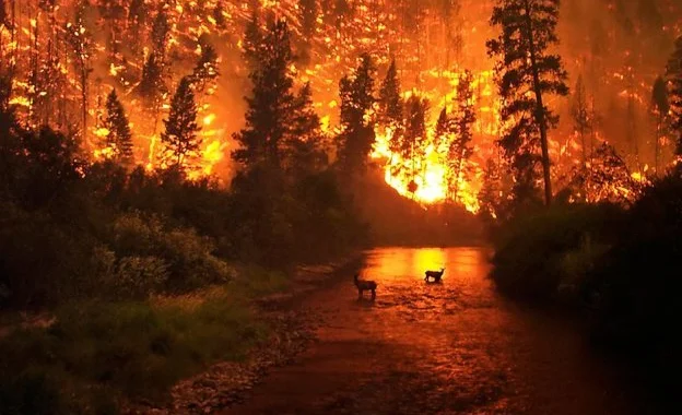 WhatsApp Image 2025-09-04 at 10.59.10.jpeg