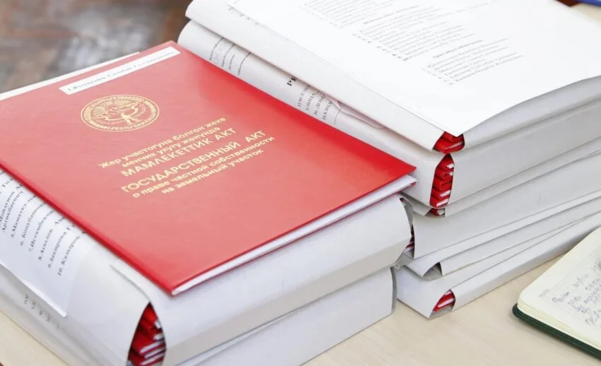 WhatsApp Image 2025-12-23 at 16.44.17.jpeg