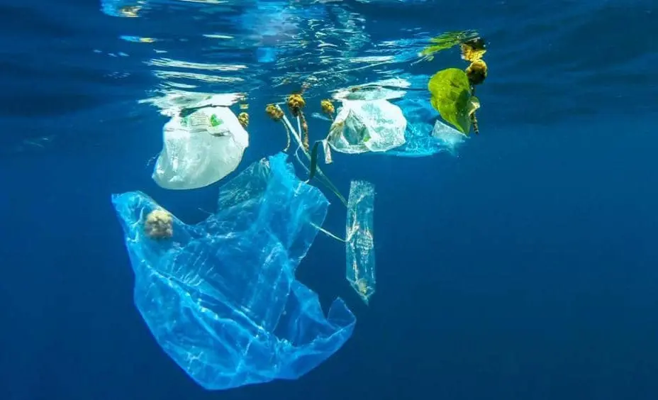 WhatsApp Image 2025-02-26 at 08.59.39.jpeg