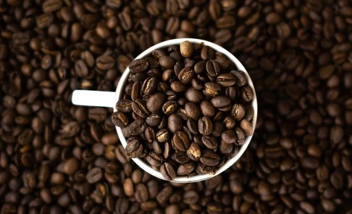 WhatsApp Image 2025-11-07 at 12.59.48.jpeg