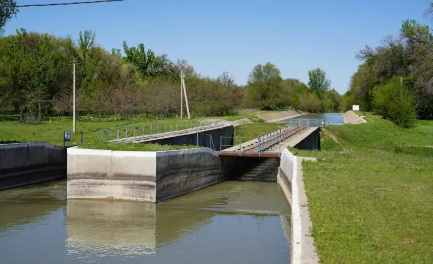 WhatsApp Image 2025-02-18 at 10.20.19.jpeg