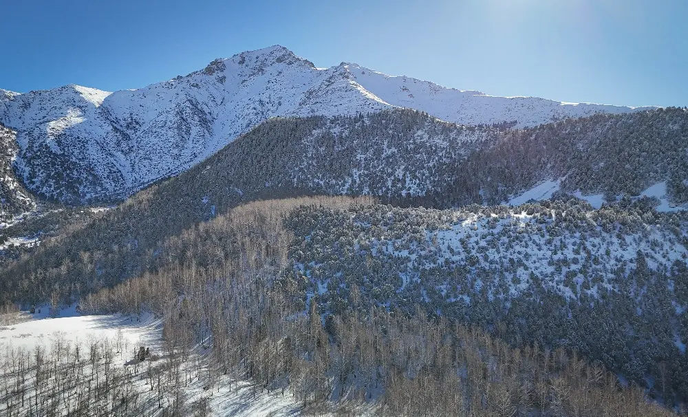 WhatsApp Image 2025-02-01 at 15.54.40 (1).jpeg