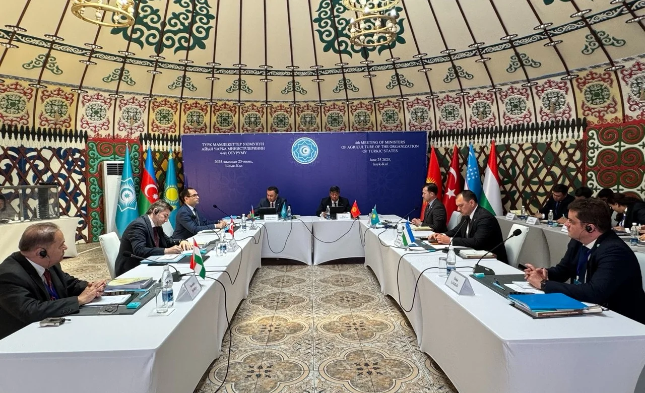 WhatsApp Image 2025-06-25 at 11.03.48 (1).jpeg