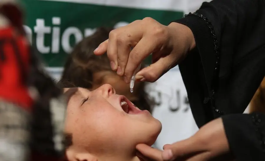 WhatsApp Image 2025-02-25 at 09.59.36.jpeg