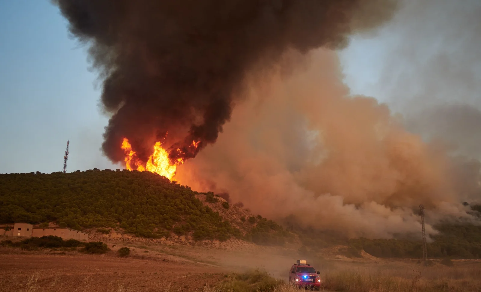 WhatsApp Image 2025-08-12 at 10.25.19.jpeg