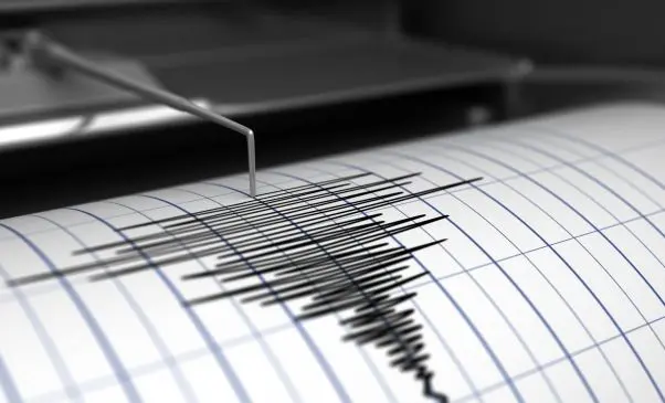 WhatsApp Image 2025-02-26 at 11.02.30.jpeg