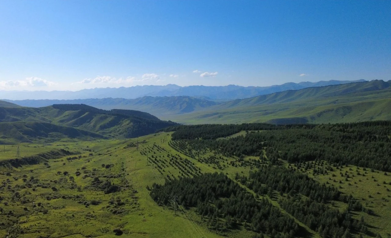 WhatsApp Image 2025-07-11 at 11.43.36.jpeg