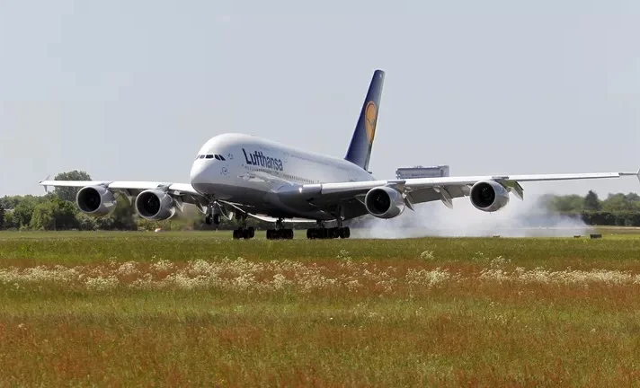 WhatsApp Image 2025-09-24 at 11.17.23.jpeg