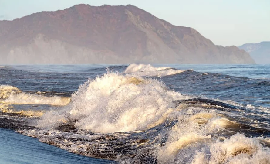 WhatsApp Image 2025-11-13 at 09.12.37.jpeg