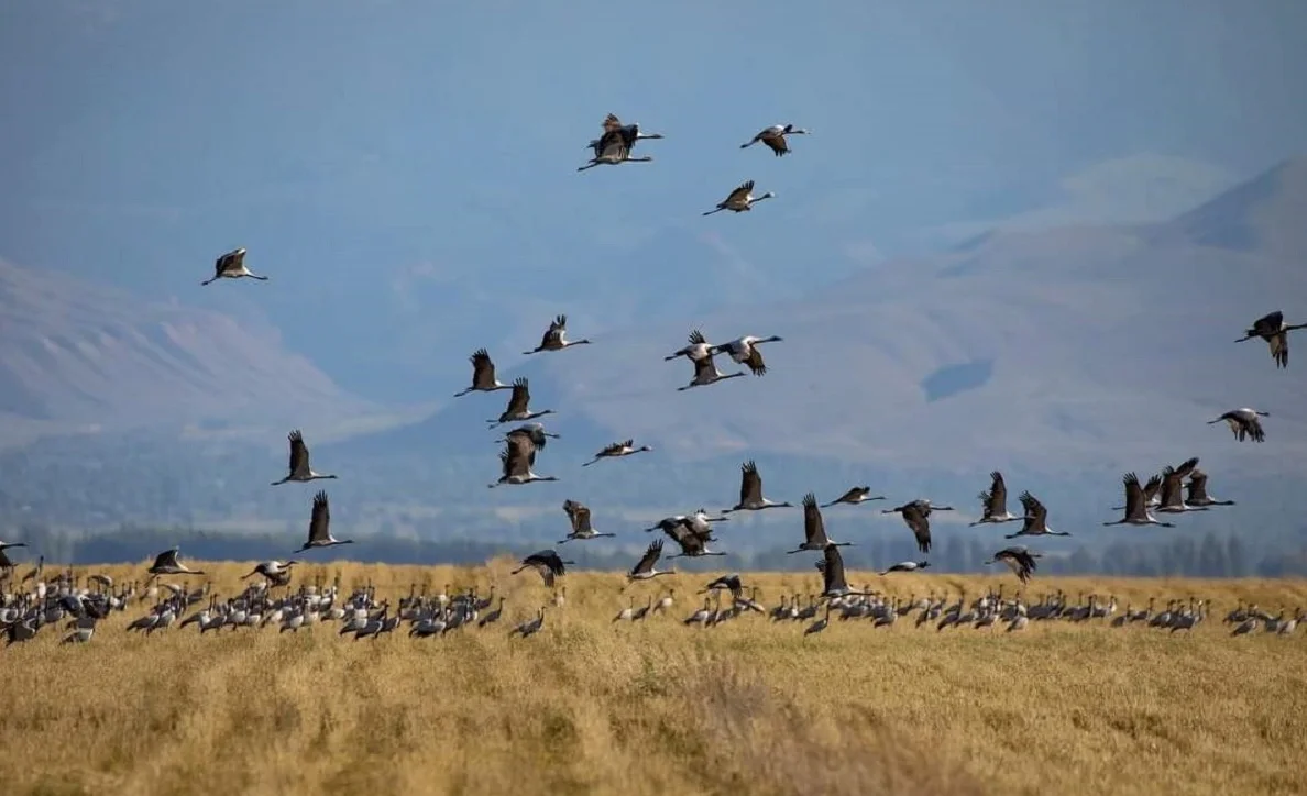 WhatsApp Image 2025-03-26 at 15.28.41.jpeg