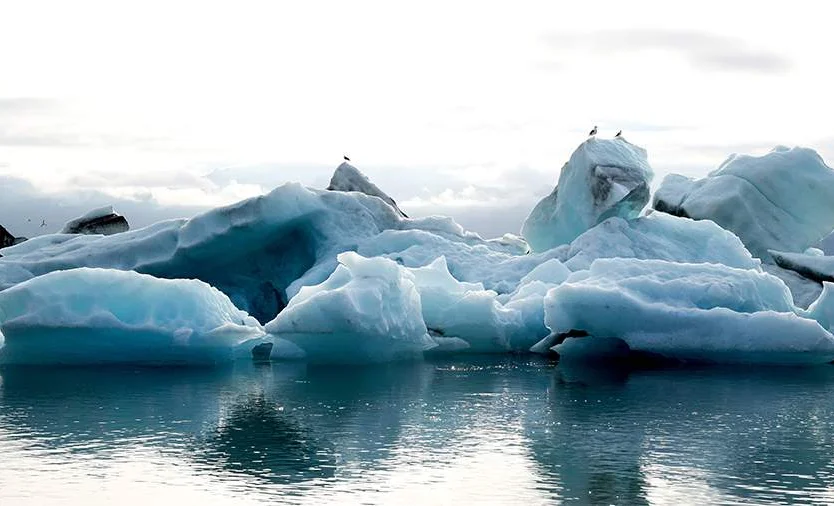 WhatsApp Image 2025-12-16 at 13.26.46.jpeg