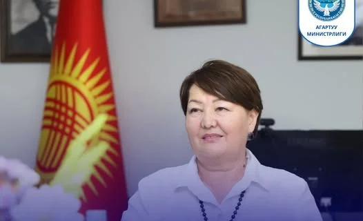 WhatsApp Image 2025-09-01 at 10.27.37.jpeg