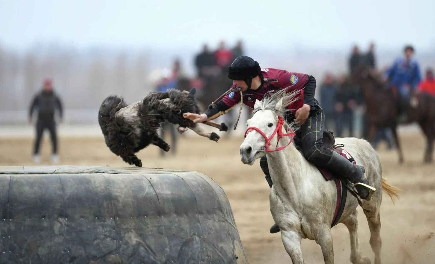 WhatsApp Image 2025-04-03 at 06.46.51.jpeg