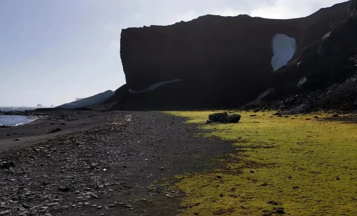 WhatsApp Image 2025-08-22 at 09.57.54.jpeg