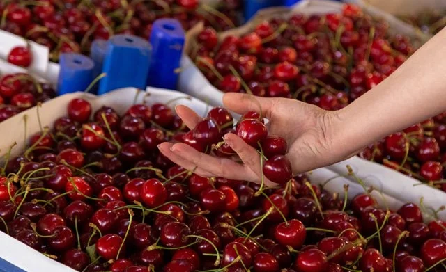 WhatsApp Image 2025-08-21 at 08.50.00.jpeg