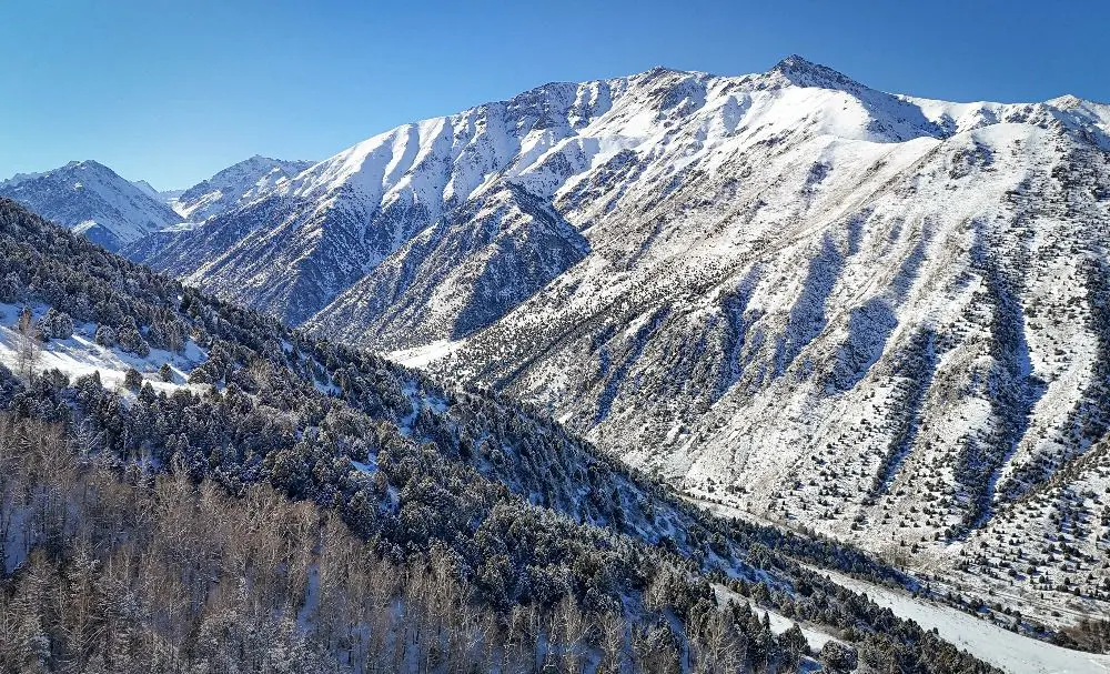 WhatsApp Image 2025-02-21 at 06.46.49.jpeg