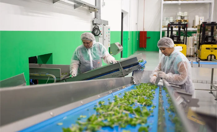 WhatsApp Image 2025-07-10 at 12.41.13.jpeg