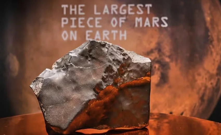 WhatsApp Image 2025-07-15 at 12.00.30.jpeg