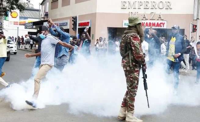 WhatsApp Image 2025-06-26 at 09.09.47.jpeg