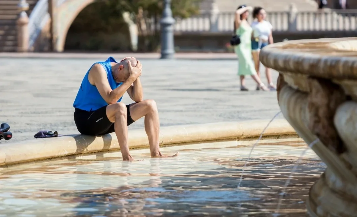 WhatsApp Image 2025-07-15 at 14.52.28.jpeg