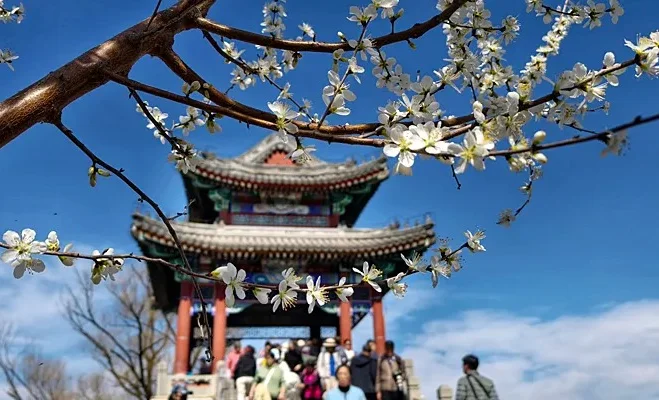 WhatsApp Image 2025-09-15 at 18.01.02.jpeg