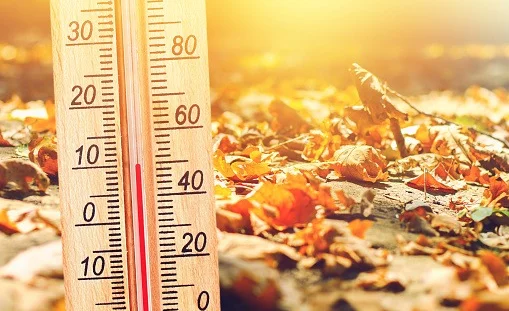 WhatsApp Image 2025-11-27 at 12.47.12 (2).jpeg