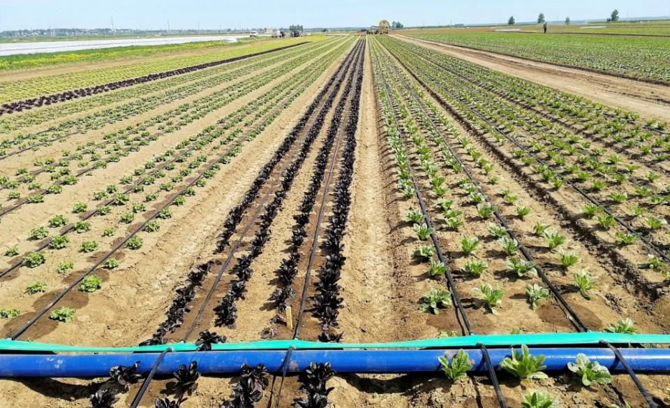 WhatsApp Image 2025-10-21 at 11.20.59.jpeg