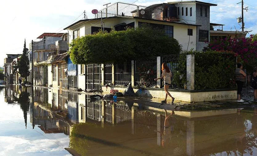 WhatsApp Image 2025-10-13 at 11.23.01.jpeg