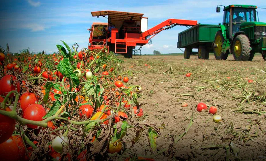 WhatsApp Image 2025-11-17 at 15.44.07.jpeg