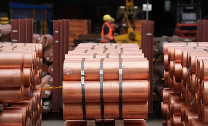 WhatsApp Image 2025-12-24 at 08.22.36.jpeg