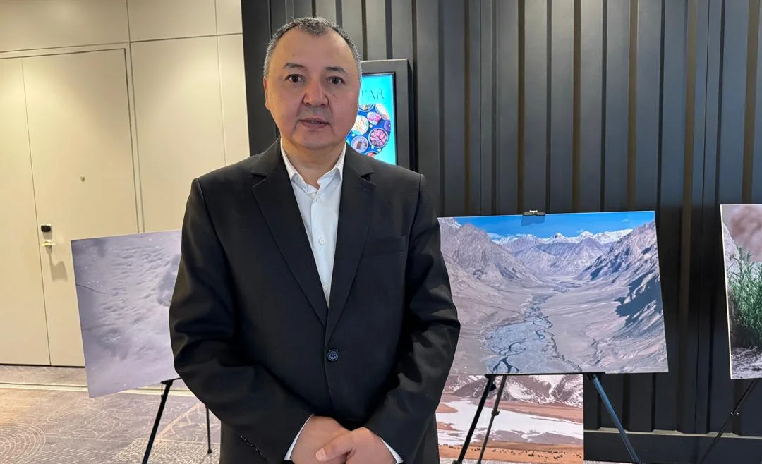 WhatsApp Image 2025-03-03 at 08.54.28.jpeg