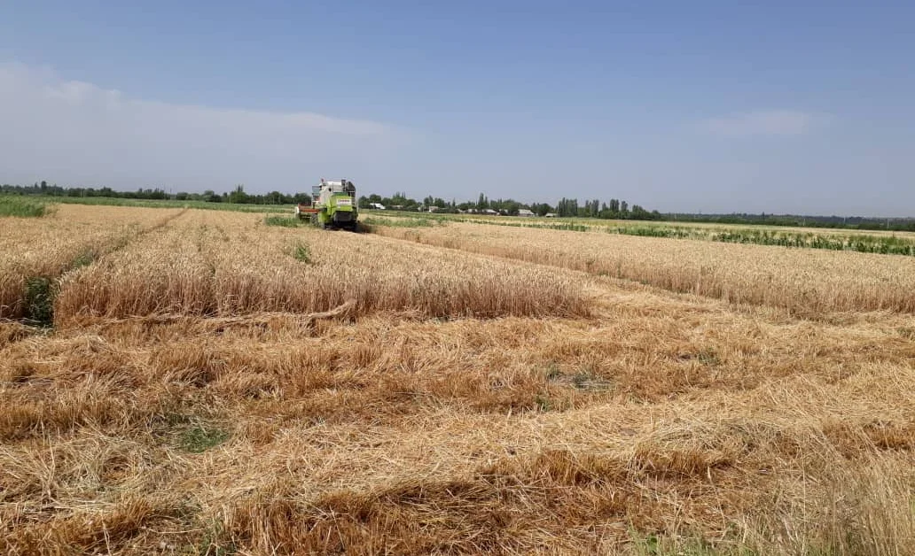 WhatsApp Image 2025-09-04 at 11.13.10.jpeg