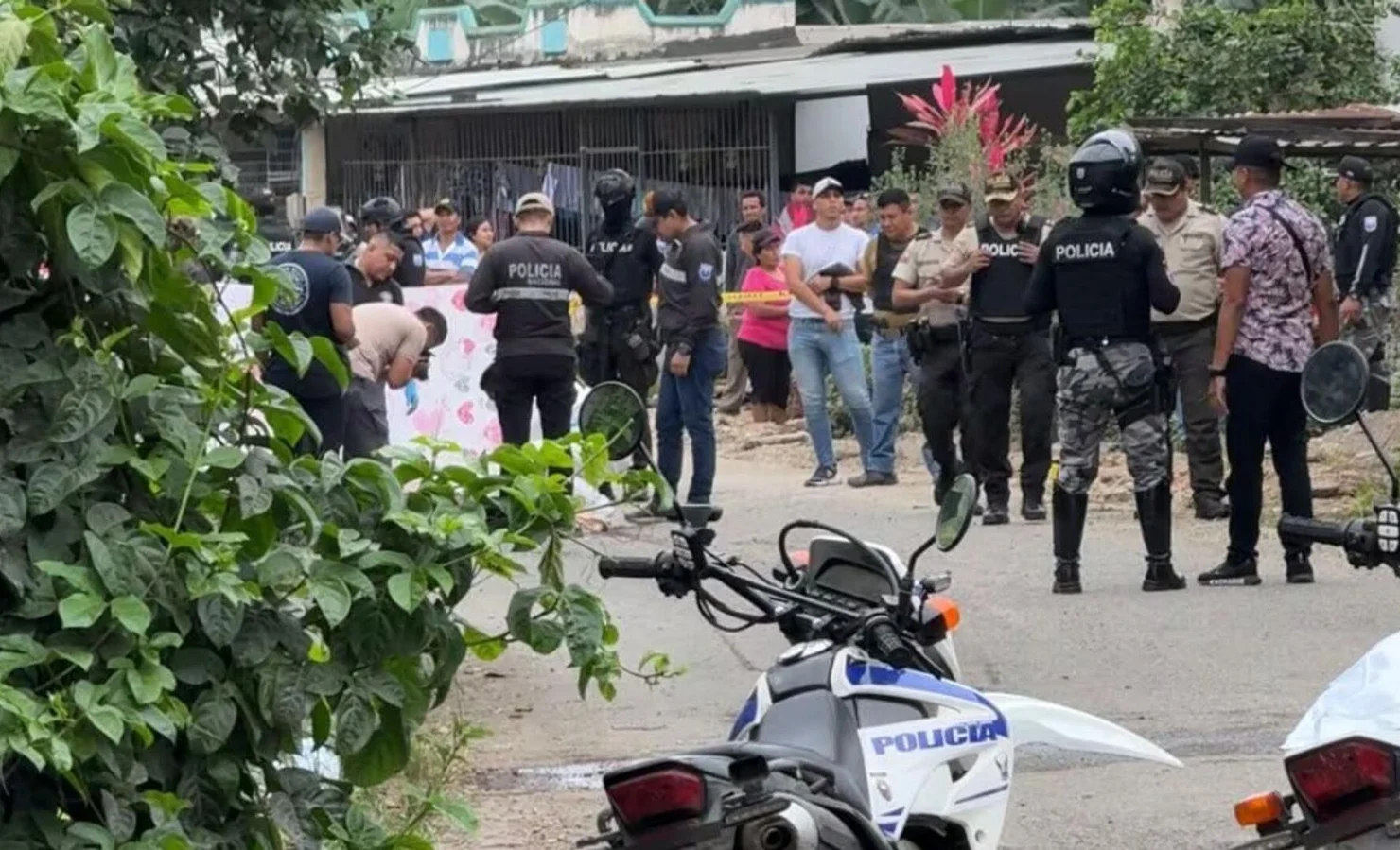 WhatsApp Image 2025-07-29 at 16.16.46.jpeg