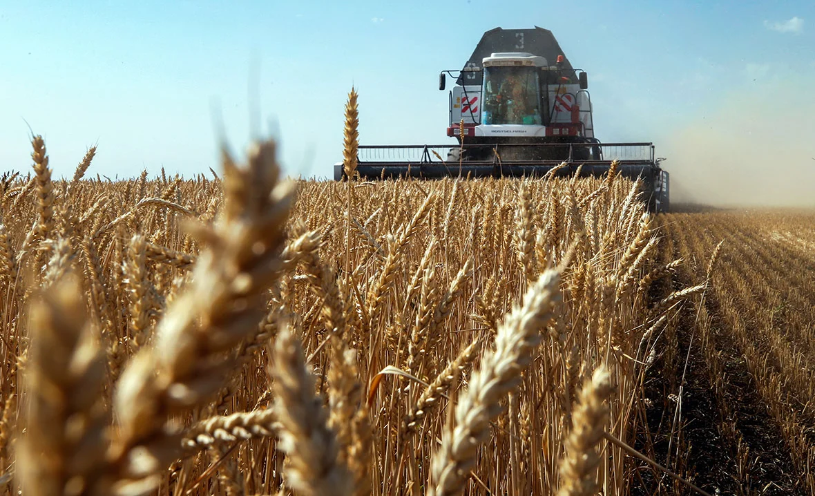 WhatsApp Image 2025-12-09 at 10.52.30.jpeg