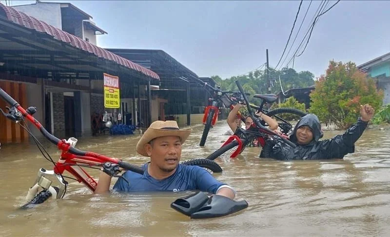 WhatsApp Image 2025-12-01 at 08.41.23.jpeg