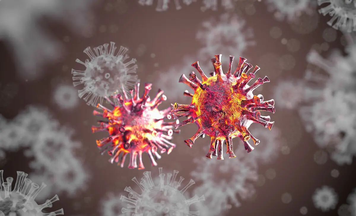 WhatsApp Image 2025-02-21 at 06.08.45.jpeg