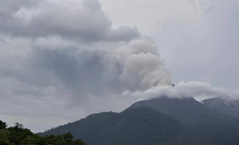 WhatsApp Image 2025-05-20 at 07.33.42.jpeg