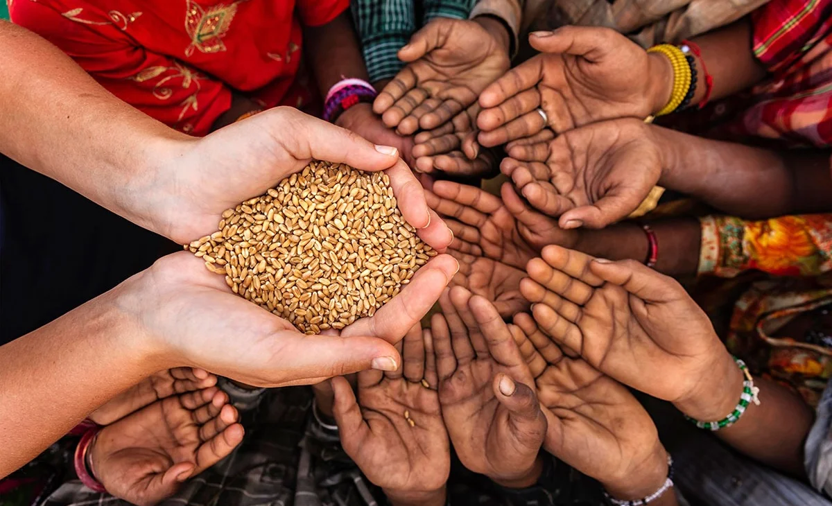 WhatsApp Image 2025-11-30 at 13.12.42.jpeg