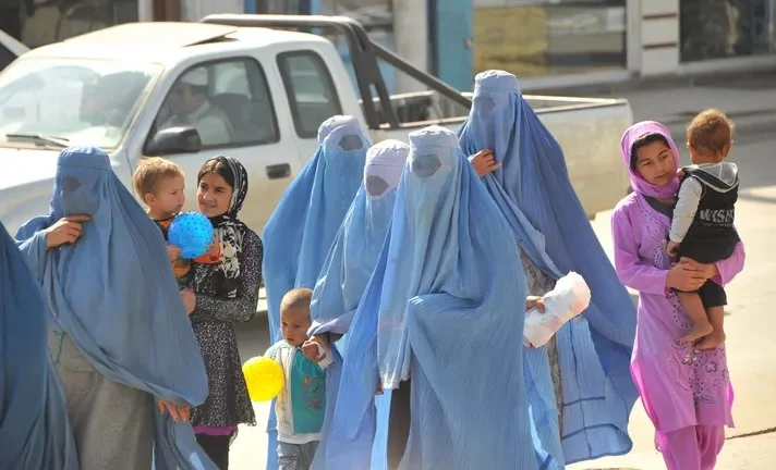 WhatsApp Image 2025-11-10 at 14.22.43.jpeg